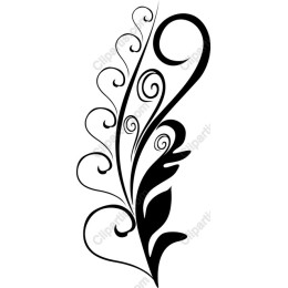 Elegant Black Swirl