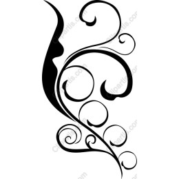 Elegant Swirl