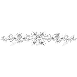 Elegant Floral Line Art Border