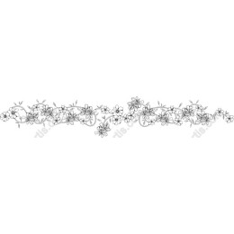 Floral Decor Border