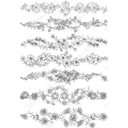 Floral Borders Set