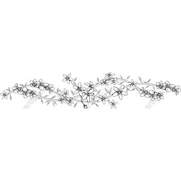 Floral Line Art