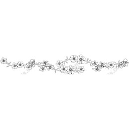 Elegant Floral Border