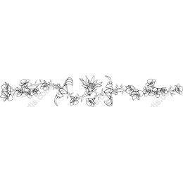 Elegant Floral Vine