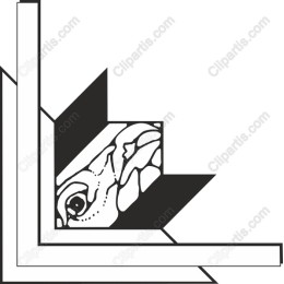 Stylized Turtle Head