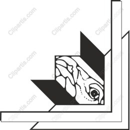 Turtle Head Geometric