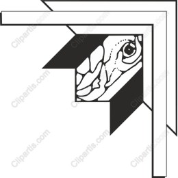 Frog in Geometric Frame