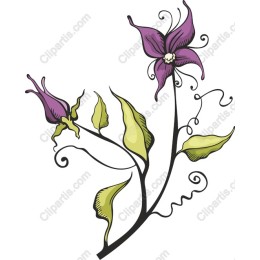 Elegant Purple Flower