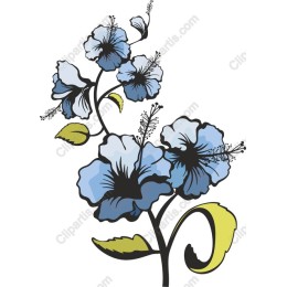 Blue Hibiscus Bloom