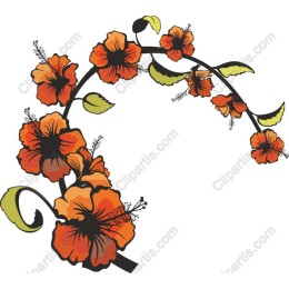 Orange Hibiscus Floral