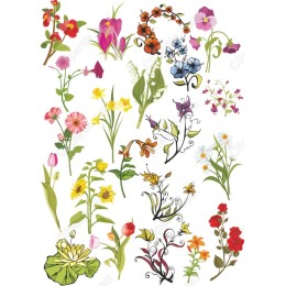 Floral Bundle
