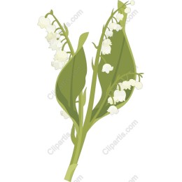 Lily of the Valley