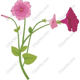 Petunia Flower Branch