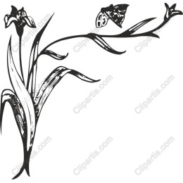 Elegant Floral