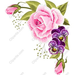 Floral Elegance: Pink Roses and Pansies