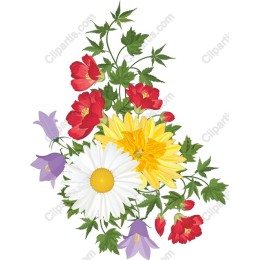 Vibrant Floral