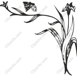 Elegant Flower and Butterfly