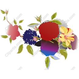 Vibrant Floral