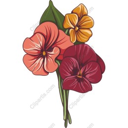 Vibrant Pansy Floral