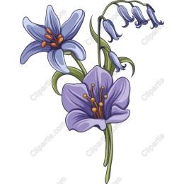 Delicate Blue Floral