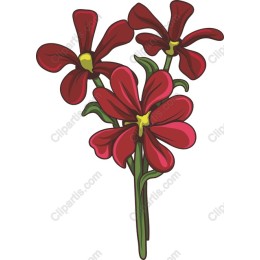 Vibrant Red Flower