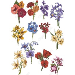 Floral Bundle - 12 Unique Flower in and