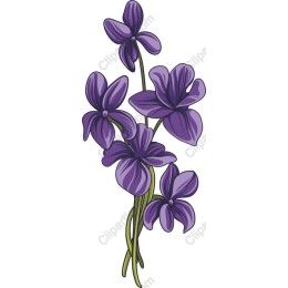 Vibrant Violet Bouquet