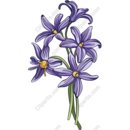 Elegant Purple Flower Bouquet