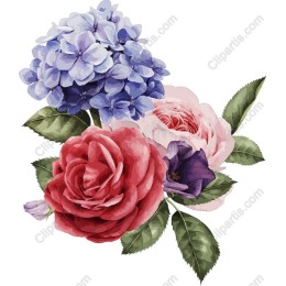Floral Elegance: Rose and Hydrangea Bundle