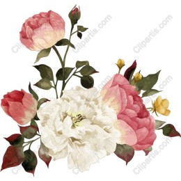 Floral Elegance: Rose & Peony