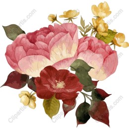 Elegant Floral - Peonies & Blooms