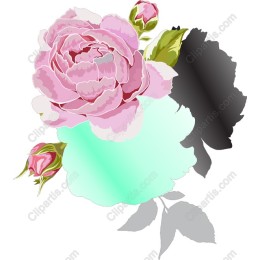 Elegant Pink Rose work
