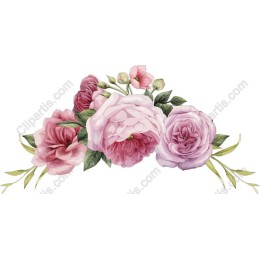 Elegant Floral Roses