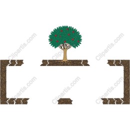 Apple Tree with Rustic Frame