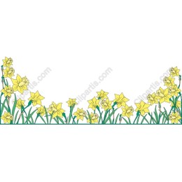 Vibrant Daffodil
