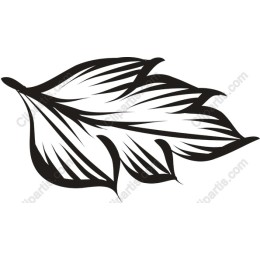 Black Leaf