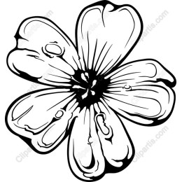 Elegant Hand-Drawn Flower in and
