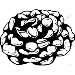 Intricate Brain-Like