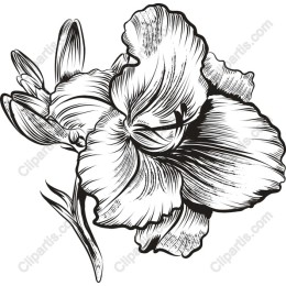 Elegant Floral in Black & White