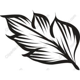Elegant Leaf
