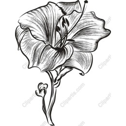 Elegant Floral