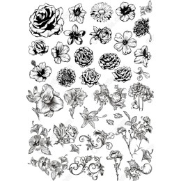 Floral Elegance: Hand-Drawn Set