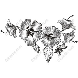 Hibiscus Floral work