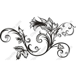 Elegant Floral Swirl