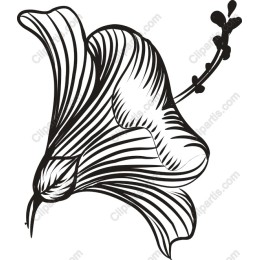 Stylized Floral