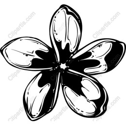 Elegant Hand-Drawn Floral