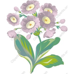 Delicate Floral Bouquet