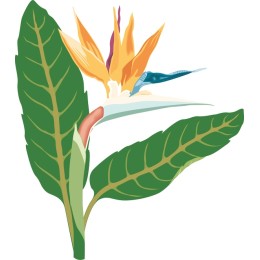 Tropical Bird of Paradise