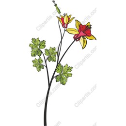 Vibrant Flower
