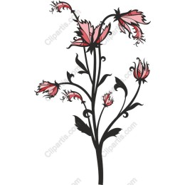 Elegant Floral